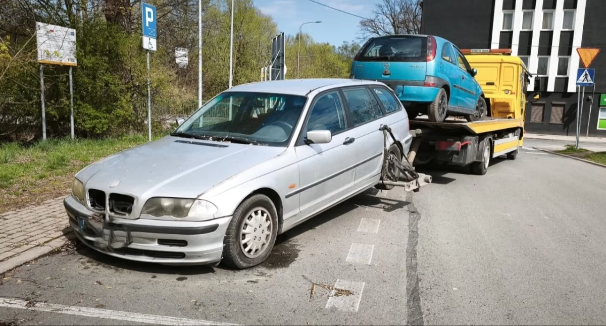 fot. Straż Miejska Jelenia Góra
