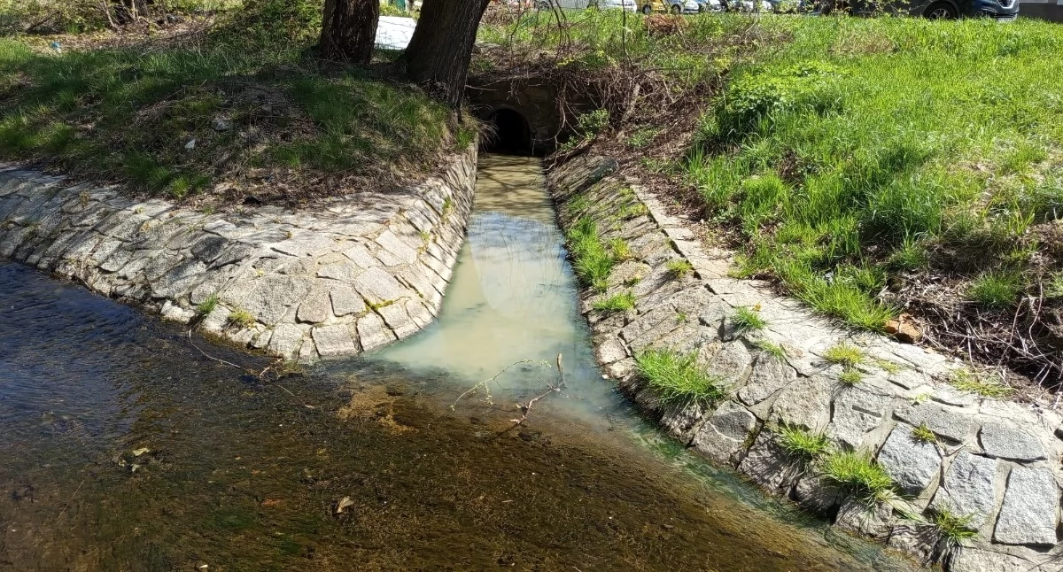 fot. Straż Miejska Jelenia Góra