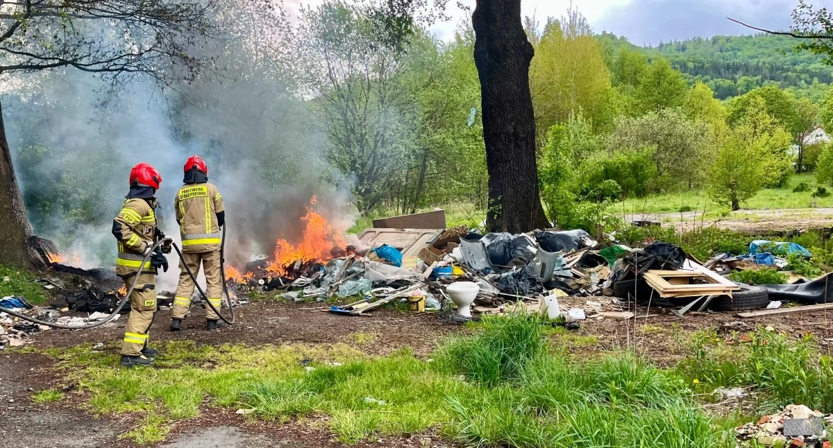 fot. Straż Miejska Jelenia Góra
