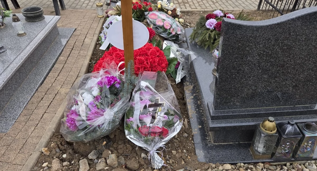 Absurdy, Absurd cmentarzu Czernicy można chować bliskich gdzie popadnie - zdjęcie, fotografia