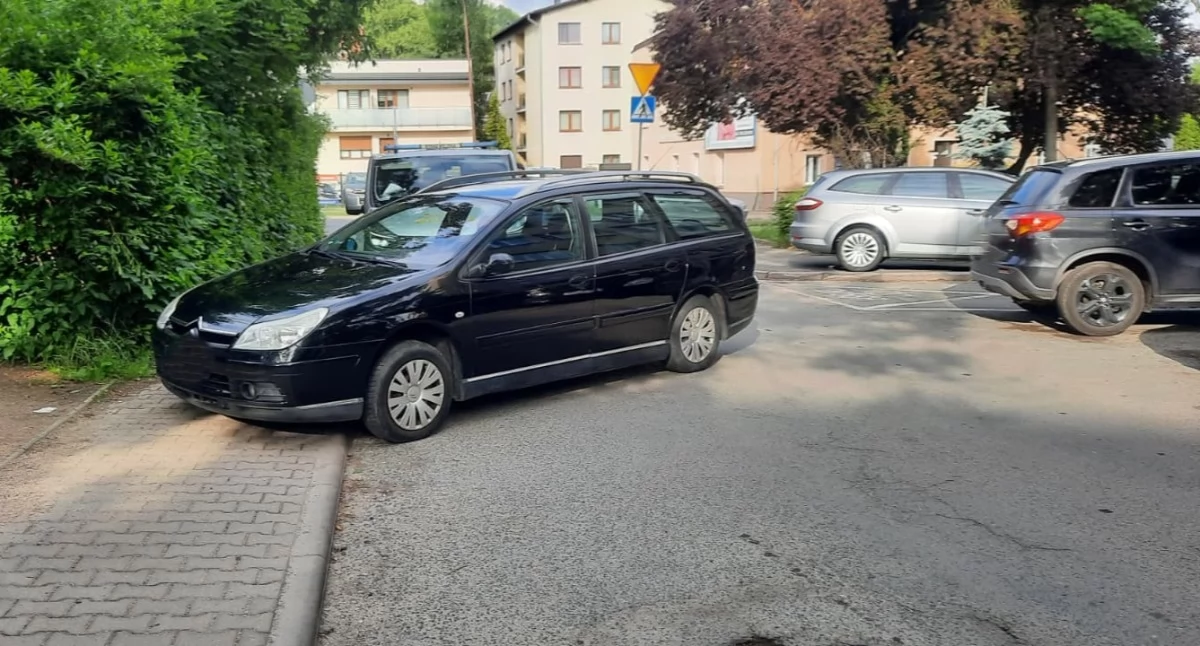 fot. Straż Miejska Jelenia Góra