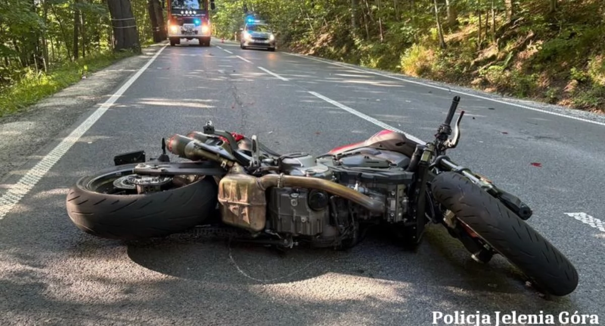 fot. Policja Jelenia Góra