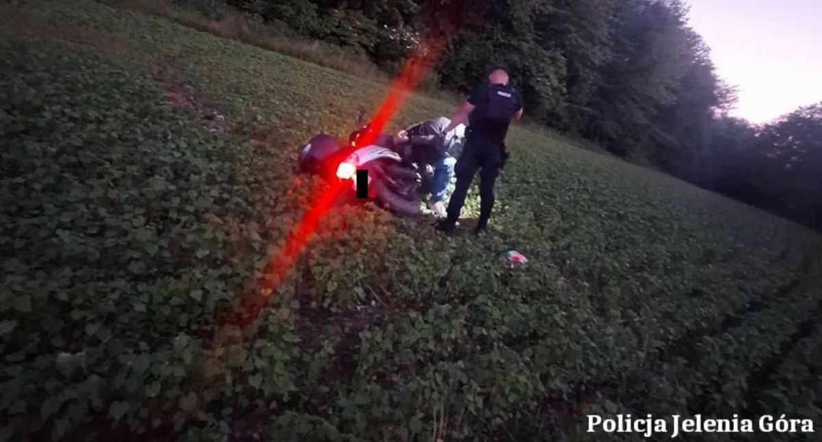 fot. Policja Jelenia Góra