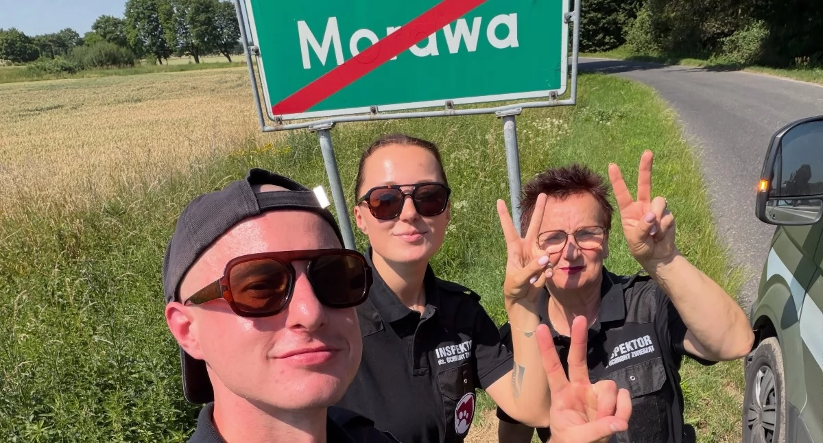 fot. DIOZ (Dolnośląski Inspektorat Ochrony Zwierząt) - Facebook
