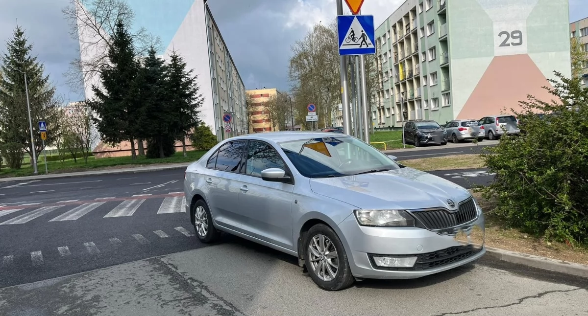fot. Straż Miejska Jelenia Góra
