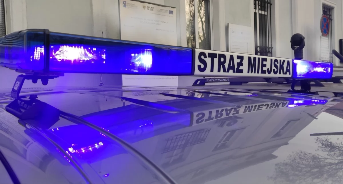 fot. Straż Miejska Jelenia Góra