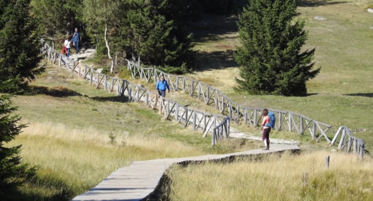 fot. Karkonosze GO / Karkonoski Park Narodowy