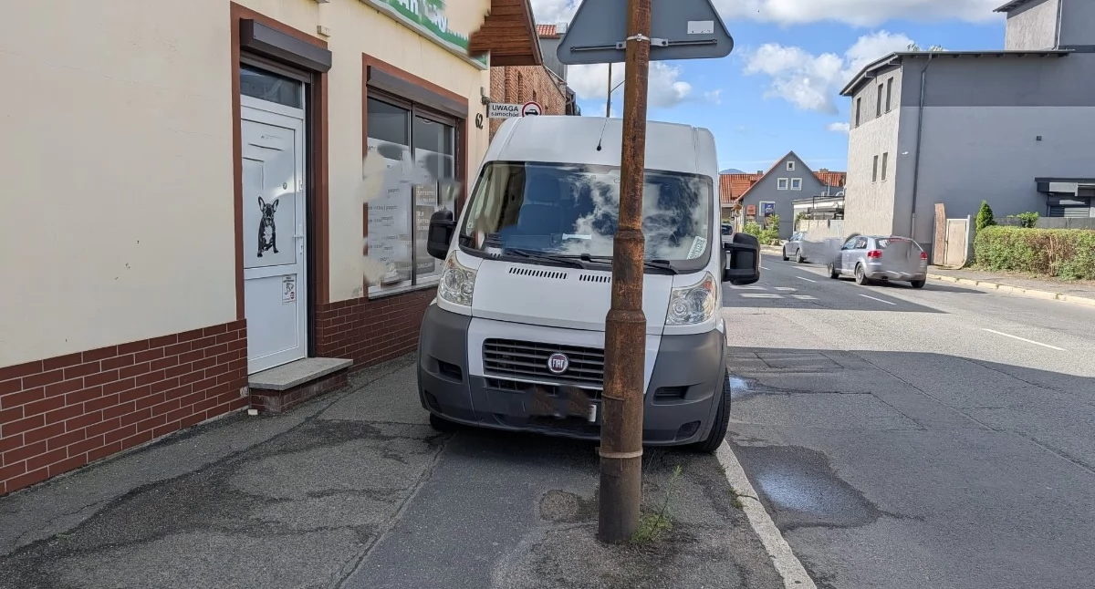 fot. Straż Miejska Jelenia Góra