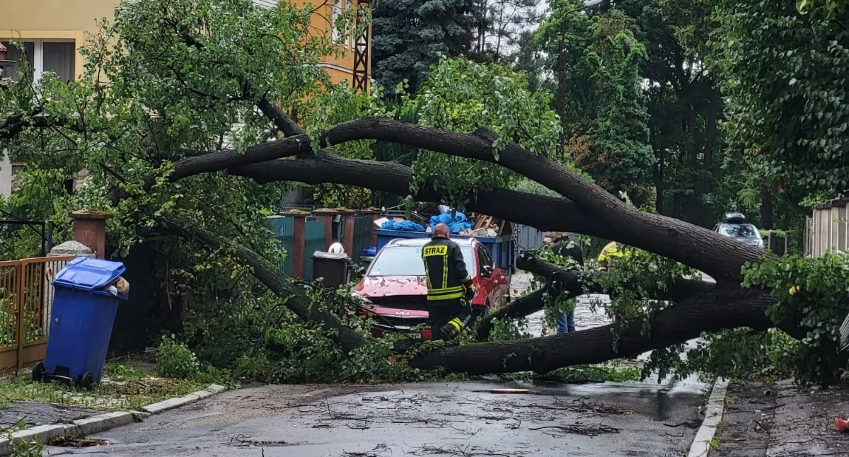 Z ostatniej chwili, Nawałnica spowodowała ogromne straty Zobaczcie zdjęcia - zdjęcie, fotografia
