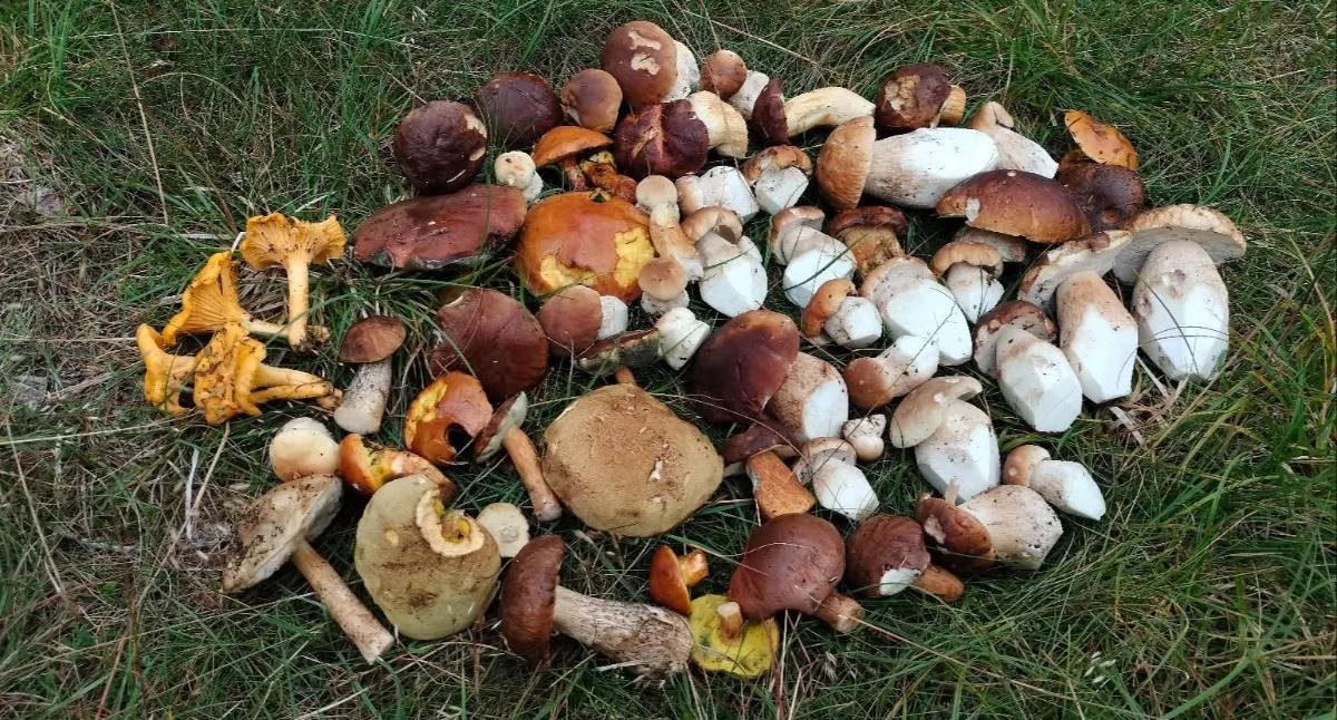 fot. czytelnik 24jgora.pl