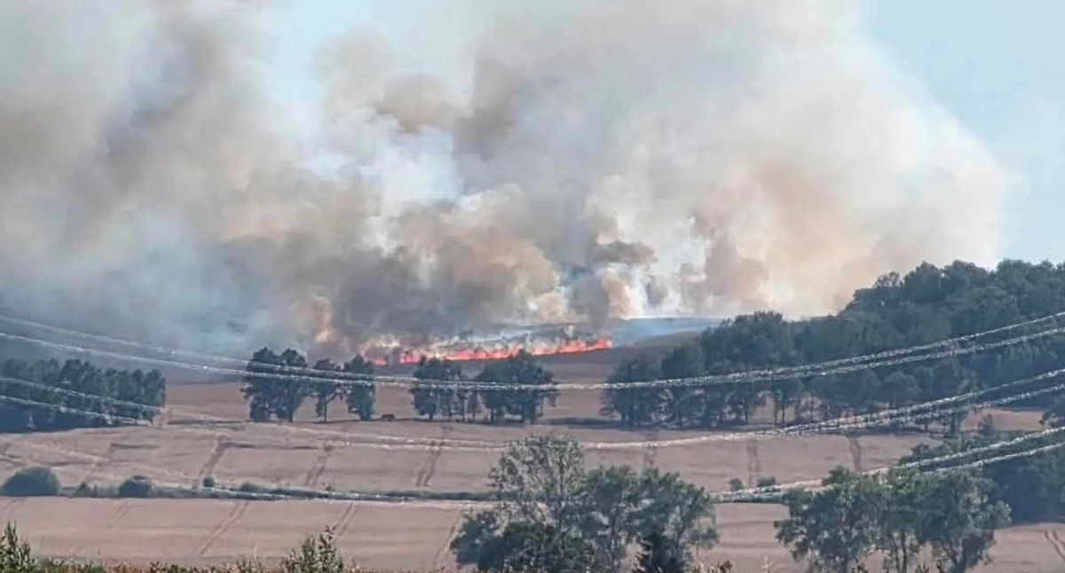 Pożary, Ogień strawił ponad hektarów upraw Groźny pożar Jerzmanicami Zdrojem - zdjęcie, fotografia