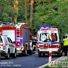 Fotka nr 1 z 19