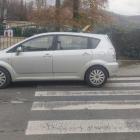 fot. Straż Miejska Jelenia Góra