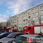 Fotka nr 2 z 5