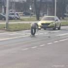 zdjęcie nr 9