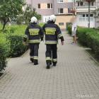 Fotka nr 4 z 13
