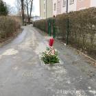 zdjęcie nr 4