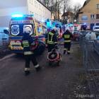 Fotka nr 5 z 15