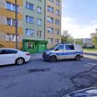 zdjęcie nr 7