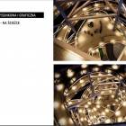 Fotka nr 1 z 5