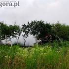 zdjęcie nr 7