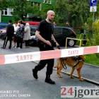 zdjęcie nr 17