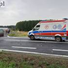 Fotka nr 2 z 13