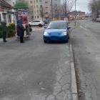 fot. Straż Miejska Jelenia Góra