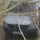 Fotka nr 2 z 4
