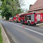 Fotka nr 1 z 4