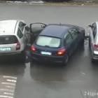 Fotka nr 0 z 7