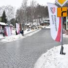 Fotka nr 2 z 13