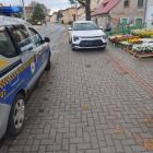 fot. Straż Miejska Jelenia Góra