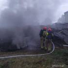 Fotka nr 2 z 12