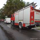 Fotka nr 5 z 12