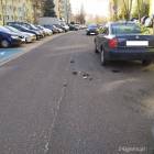 Fotka nr 1 z 2