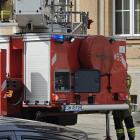 Fotka nr 5 z 6