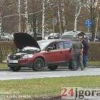 Fotka nr 3 z 9