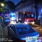 Fotka nr 1 z 7