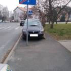 Fotka nr 3 z 7