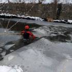 Fotka nr 3 z 4