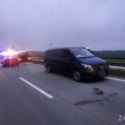 Fotka nr 2 z 5