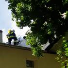 zdjęcie nr 12