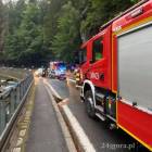 Fotka nr 1 z 12