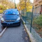 fot. Straż Miejska Jelenia Góra