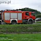 Fotka nr 5 z 11