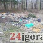 Fotka nr 1 z 13