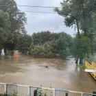 fot. Jelenia Góra Podaj Dalej