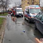 Fotka nr 1 z 3