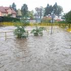 zdjęcie nr 24
